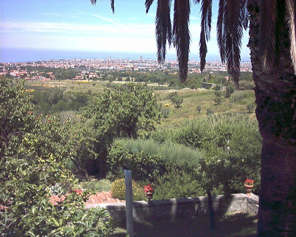 B&B Villa Panicucci Ливорно Стая снимка