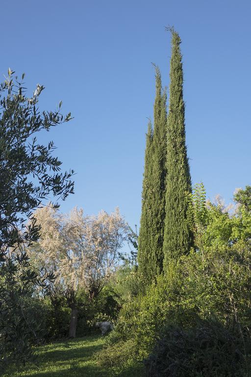 B&B Villa Panicucci Ливорно Екстериор снимка