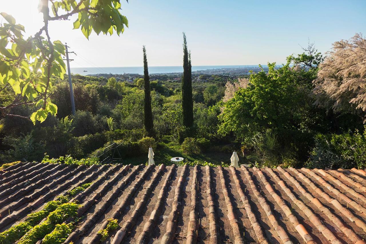 B&B Villa Panicucci Ливорно Екстериор снимка